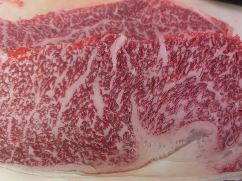 Havel-Wagyu in Havelberg OT Kuhlhausen