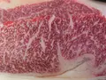 Havel-Wagyu in Havelberg OT Kuhlhausen