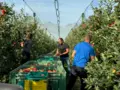 Hofladen Obstgut Müller in Neuwied - Torney