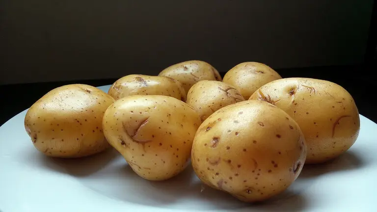Bio-) vom kaufen direkt in Kartoffeln der Bauernhof Nähe