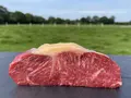 NordischWagyu | Rinderzucht Baltz in Erfde