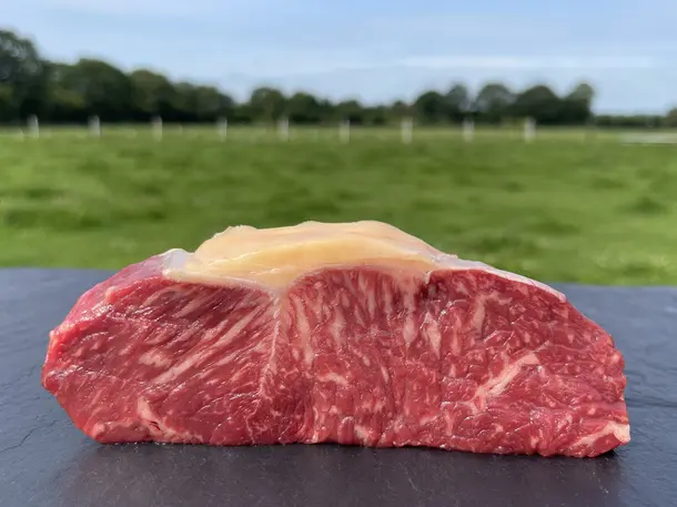 NordischWagyu | Rinderzucht Baltz